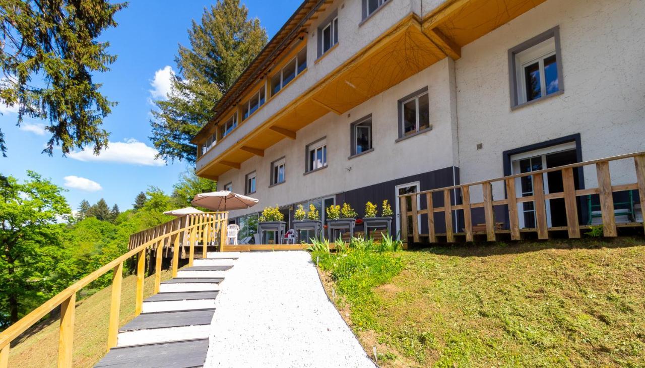 Le Chalet Du Lac Le Chatenet-en-Dognon 外观 照片